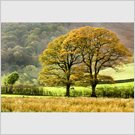 Image No : G11R1C4 : Buttermere/Crummock, Lake District