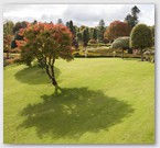 Image No : G29R3C1 : Drummond Castle Gardens 11