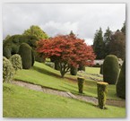 Image No : G29R5C4 : Drummond Castle Gardens 24