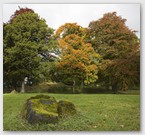 Image No : G29R6C3 : Drummond Castle Gardens 28