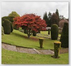 Image No : G29R4C2 : Drummond Castle Gardens 17