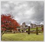 Image No : G29R4C4 : Drummond Castle Gardens 19