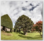 Image No : G29R5C2 : Drummond Castle Gardens 22