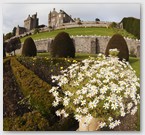 Image No : G29R5C3 : Drummond Castle Gardens 23