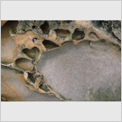 Image No : G4R2C1 : Detail of eroded rock on the shore, Dalgety Bay