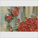 Image No : G4R2C4 : Rust and flaky paint, Threlkeld