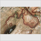 Image No : G4R2C5 : Detail of eroded rock on the shore, Dalgety Bay