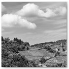 Rhine Gorge and Rudesheim 2013_IC_2878