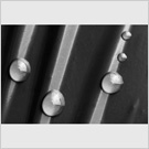Image No : G7R1C1 : Water drops on polythene, Maryport