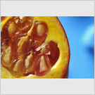 Image No : G7R2C2 : Pomegranate abstract