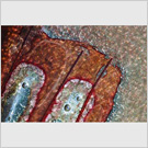 Image No : G7R2C5 : Glass scale in bicycle rack, Whitehaven