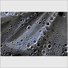 Image No : G7R3C4 : Condensation on polythene